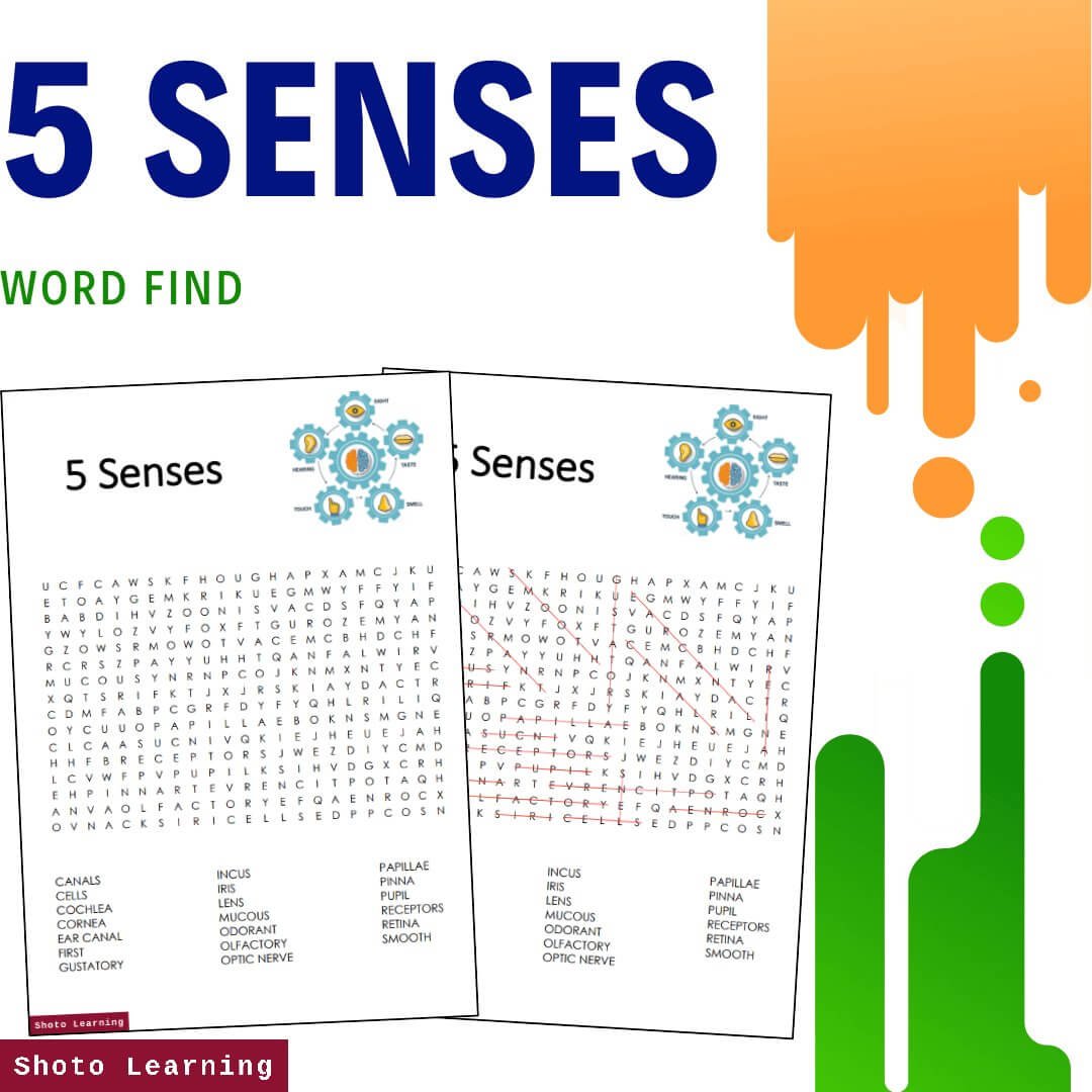 5+SENSES+-+WF+2.jpg